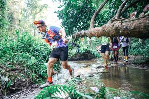 BIB: 
                            <button type="button" onclick="openModal(25461671)" class="btn btn-primary btn-sm float-right btn-popup" data-toggle="modal" data-target=".modal-high-quality">
                        <i class="fas fa-shopping-cart"></i> Add to Cart
                    </button>
                                            <button type="button" onclick="isThisMe(25461671, true)" class="btn btn-success btn-sm float-right btn-popup btn-isme hidden" data-toggle="tooltip" data-placement="bottom" title="นี่คือรูปของคุณใช่ไหม คลิกที่นี่เพื่อเอาเข้าอัลบั้ม">
                        <i class="fas fa-plus"></i> Add to album
                    </button>
                    <button type="button" onclick="isThisMe(25461671, false)" class="btn btn-warning btn-sm float-right btn-popup btn-isnotme hidden">
                        <i class="fas fa-ban"></i> Remove from album
                    </button>